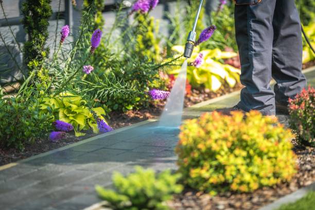 Best Animal Enclosure Cleaning  in Ligh, NE